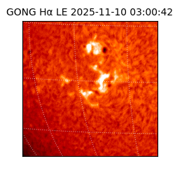 gong - 2025-11-10T03:00:42