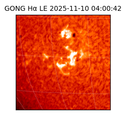 gong - 2025-11-10T04:00:42