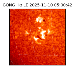 gong - 2025-11-10T05:00:42