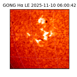 gong - 2025-11-10T06:00:42