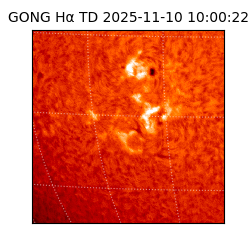 gong - 2025-11-10T10:00:22