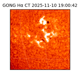 gong - 2025-11-10T19:00:42