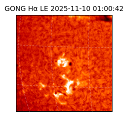 gong - 2025-11-10T01:00:42