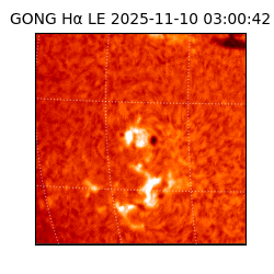 gong - 2025-11-10T03:00:42