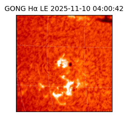 gong - 2025-11-10T04:00:42