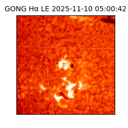 gong - 2025-11-10T05:00:42