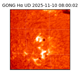 gong - 2025-11-10T08:00:02