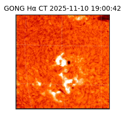 gong - 2025-11-10T19:00:42