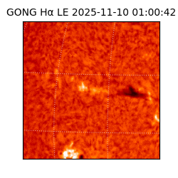 gong - 2025-11-10T01:00:42