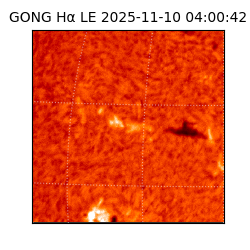 gong - 2025-11-10T04:00:42