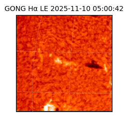 gong - 2025-11-10T05:00:42