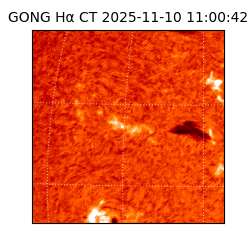 gong - 2025-11-10T11:00:42