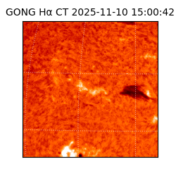 gong - 2025-11-10T15:00:42