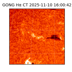 gong - 2025-11-10T16:00:42