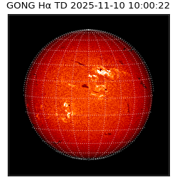 gong - 2025-11-10T10:00:22