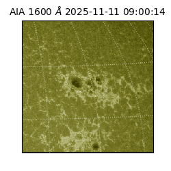 saia - 2025-11-11T09:00:14.133000