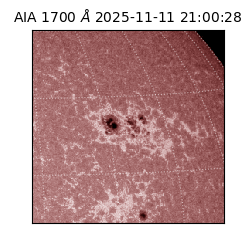 saia - 2025-11-11T21:00:28.717000