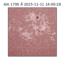 saia - 2025-11-11T14:00:28.721000