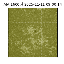 saia - 2025-11-11T09:00:14.133000