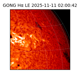 gong - 2025-11-11T02:00:42