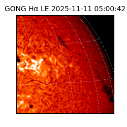 gong - 2025-11-11T05:00:42