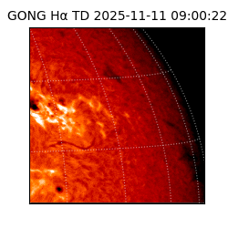 gong - 2025-11-11T09:00:22