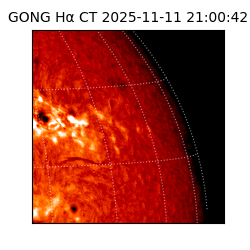 gong - 2025-11-11T21:00:42