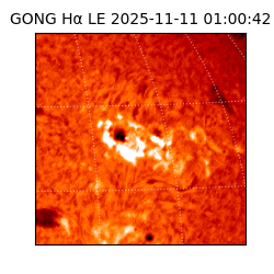 gong - 2025-11-11T01:00:42