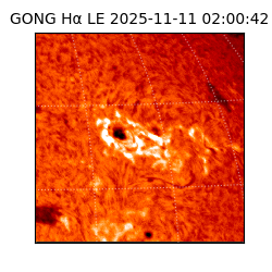 gong - 2025-11-11T02:00:42