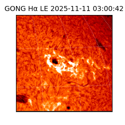 gong - 2025-11-11T03:00:42