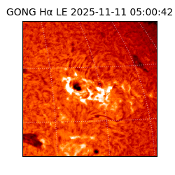 gong - 2025-11-11T05:00:42