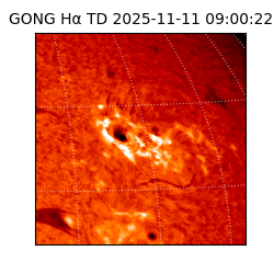 gong - 2025-11-11T09:00:22