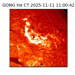 gong - 2025-11-11T11:00:42