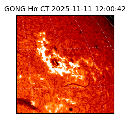 gong - 2025-11-11T12:00:42