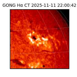 gong - 2025-11-11T22:00:42