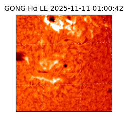 gong - 2025-11-11T01:00:42