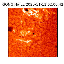 gong - 2025-11-11T02:00:42