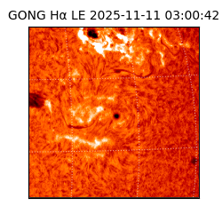 gong - 2025-11-11T03:00:42