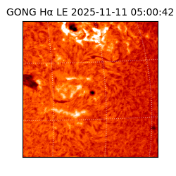 gong - 2025-11-11T05:00:42