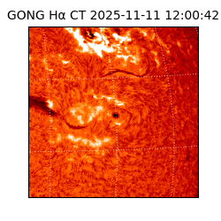 gong - 2025-11-11T12:00:42