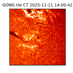 gong - 2025-11-11T14:00:42