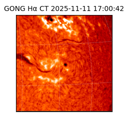 gong - 2025-11-11T17:00:42