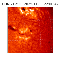 gong - 2025-11-11T22:00:42