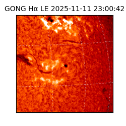 gong - 2025-11-11T23:00:42