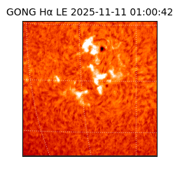 gong - 2025-11-11T01:00:42