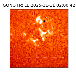 gong - 2025-11-11T02:00:42