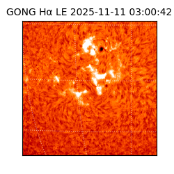 gong - 2025-11-11T03:00:42