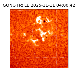 gong - 2025-11-11T04:00:42