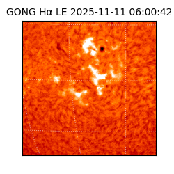 gong - 2025-11-11T06:00:42