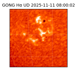 gong - 2025-11-11T08:00:02